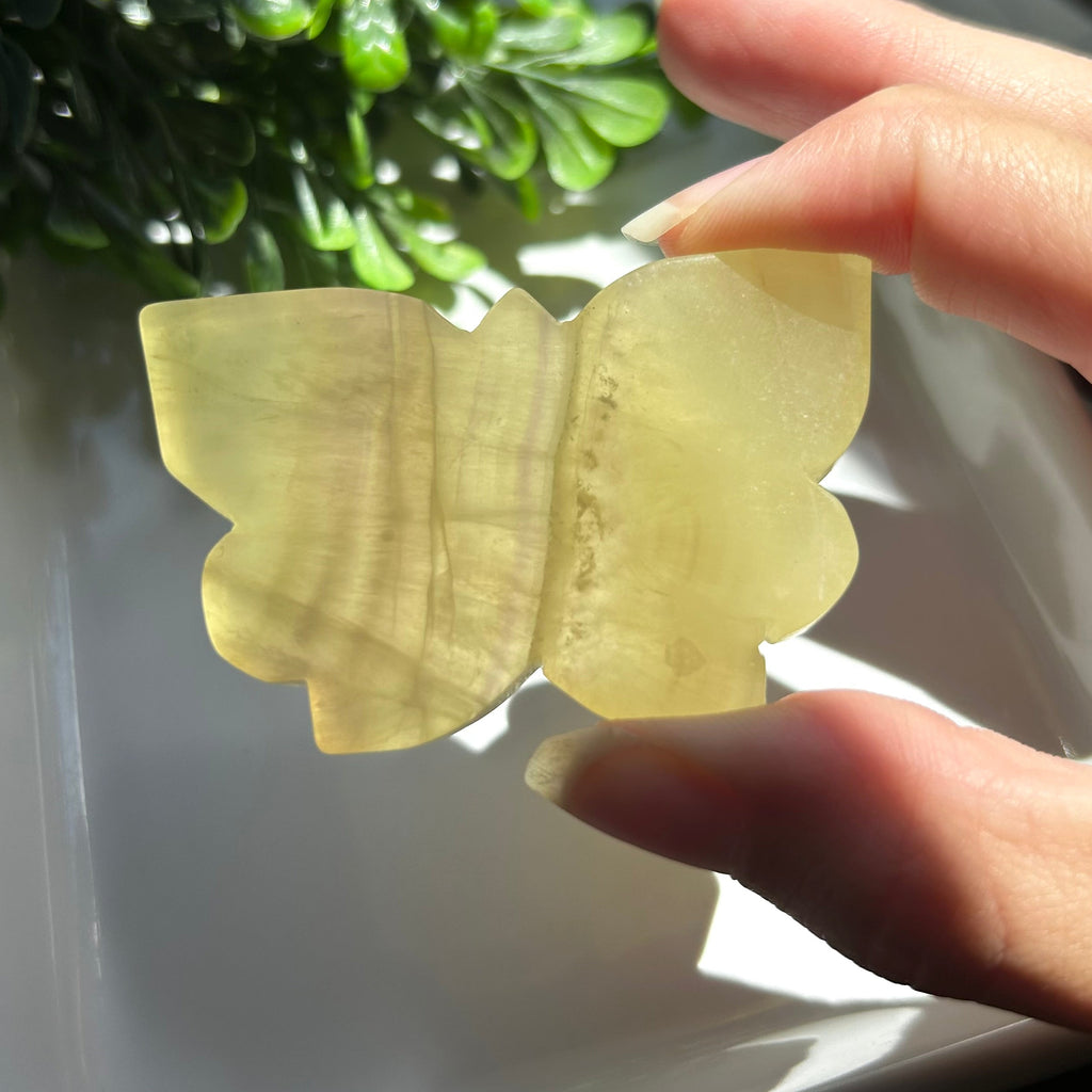 Yellow Fluorite Butterfly