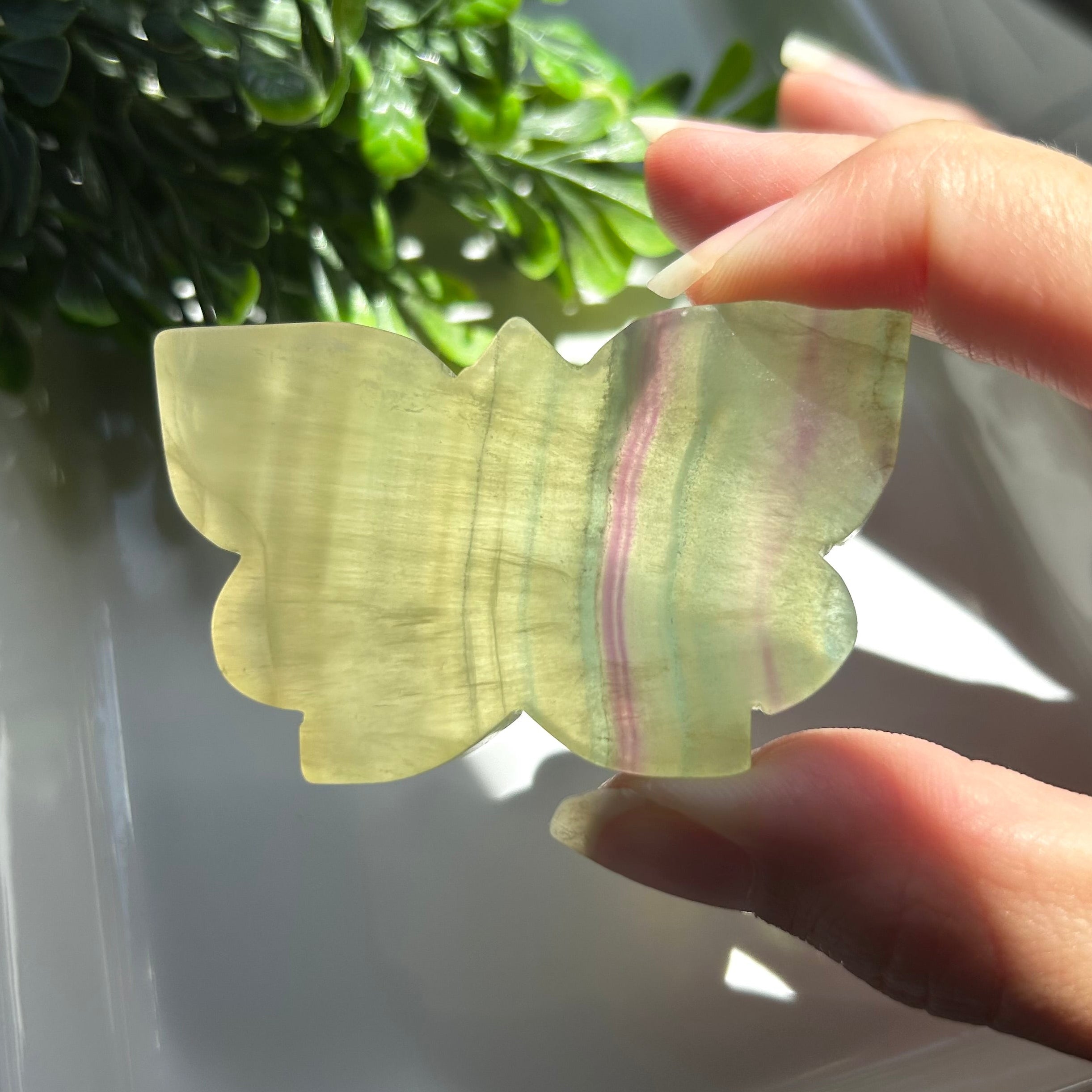 Yellow Fluorite Butterfly
