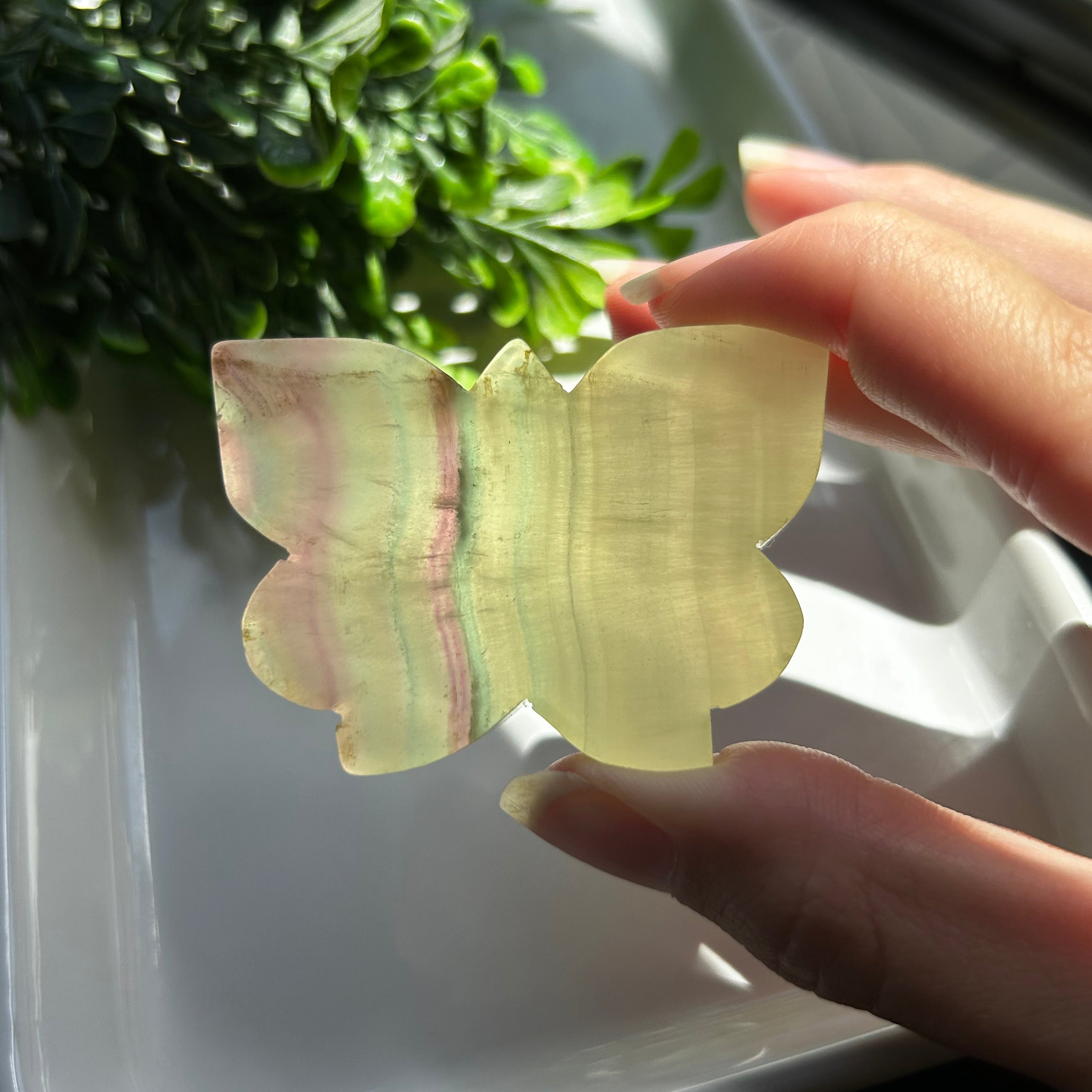 Yellow Fluorite Butterfly
