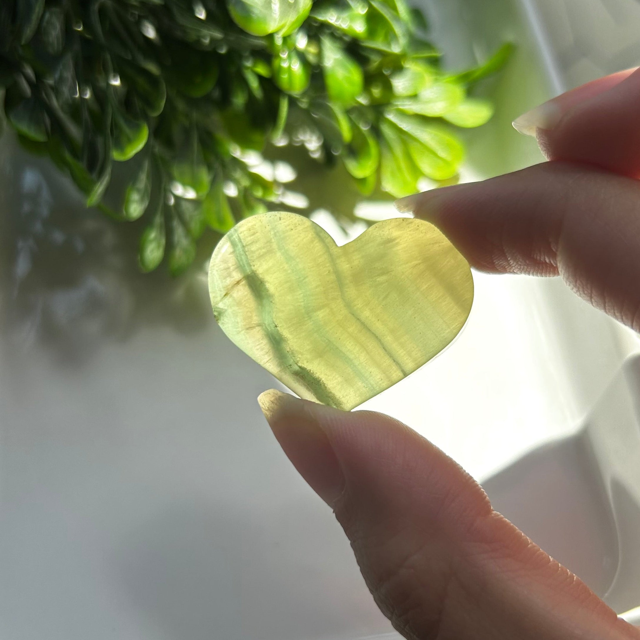 Yellow Fluorite Hearts