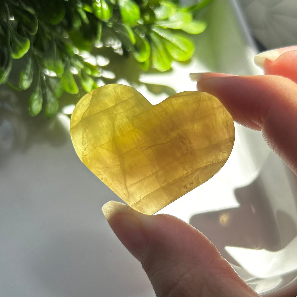 Yellow Fluorite Hearts